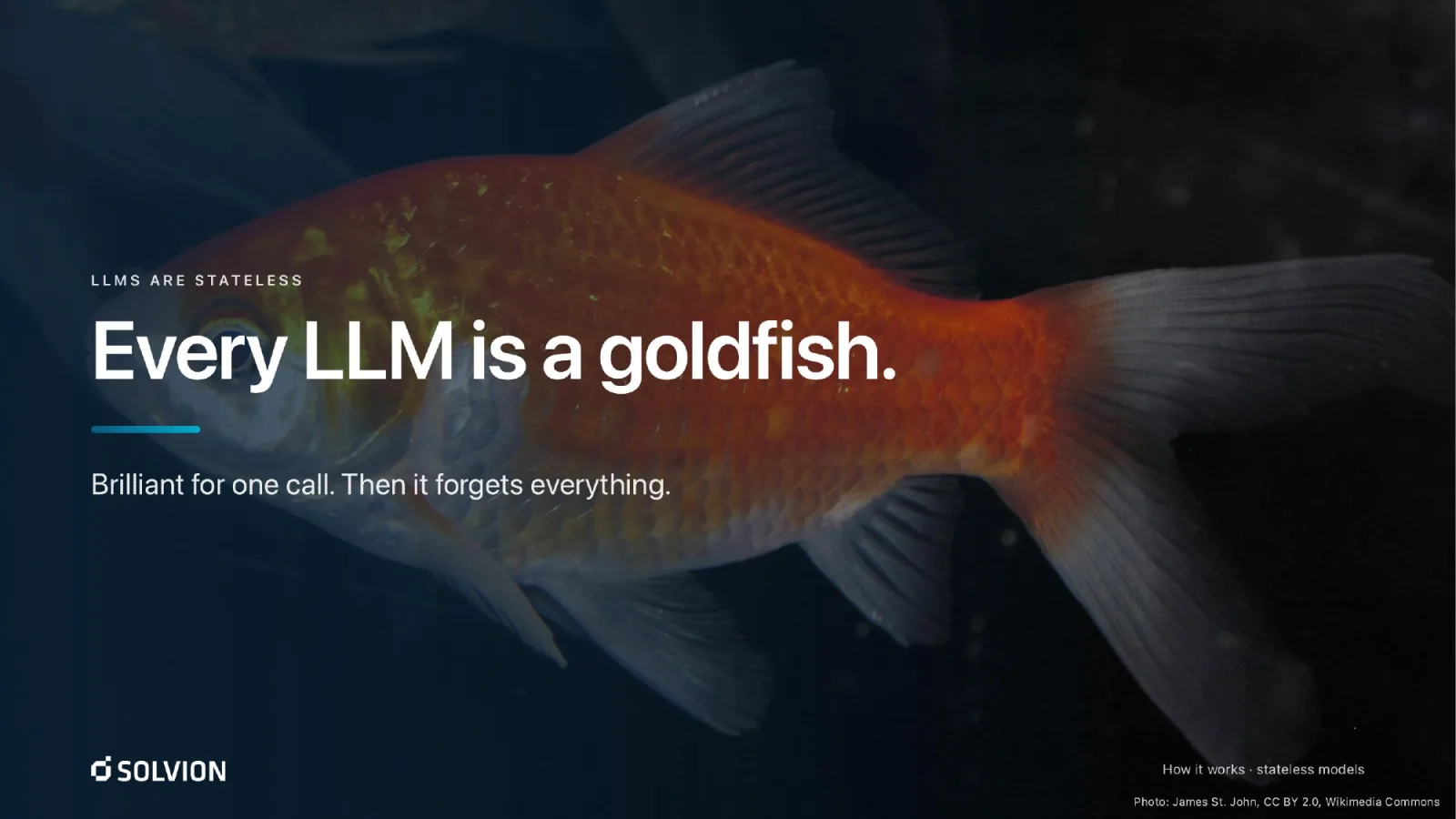 Slide &ldquo;Every LLM is a goldfish. Brilliant for one call. Then it forgets everything.&rdquo; over a photo of an orange goldfish on a dark background.